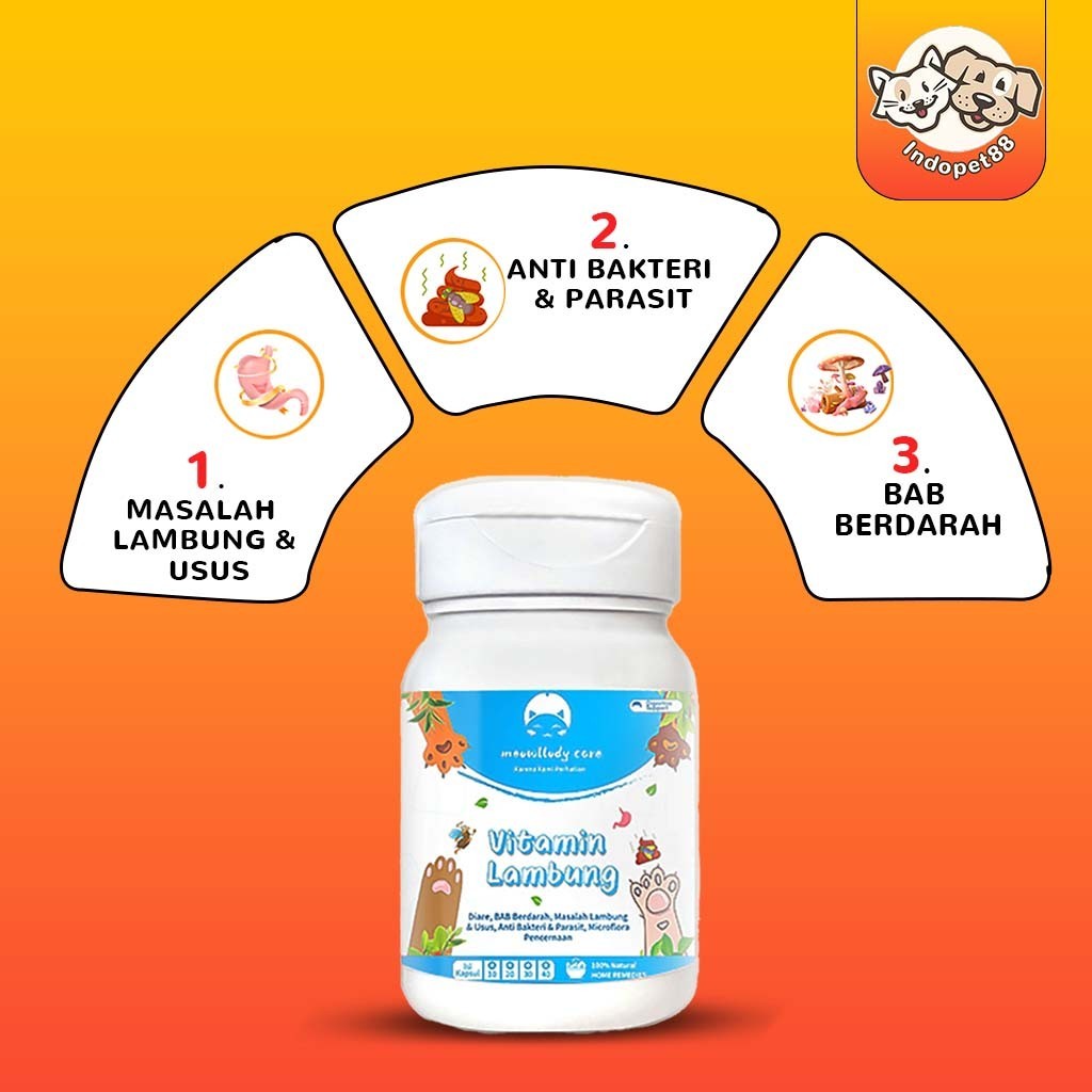 Tablet Vitamin 1 Kucing Diare Masalah  Anak Anjing dan Obat Kotoran Cair Radang Usus diare kucing