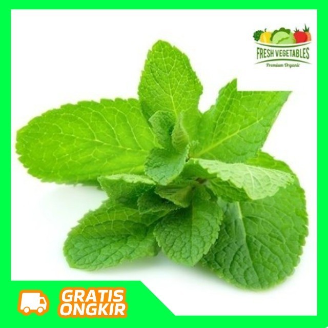 

Daun Mint 50gr