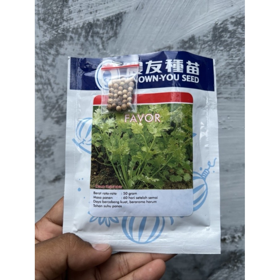 Bibit / Benih Daun Ketumbar Coriander Favor Known You Seed - Repack TERBARU