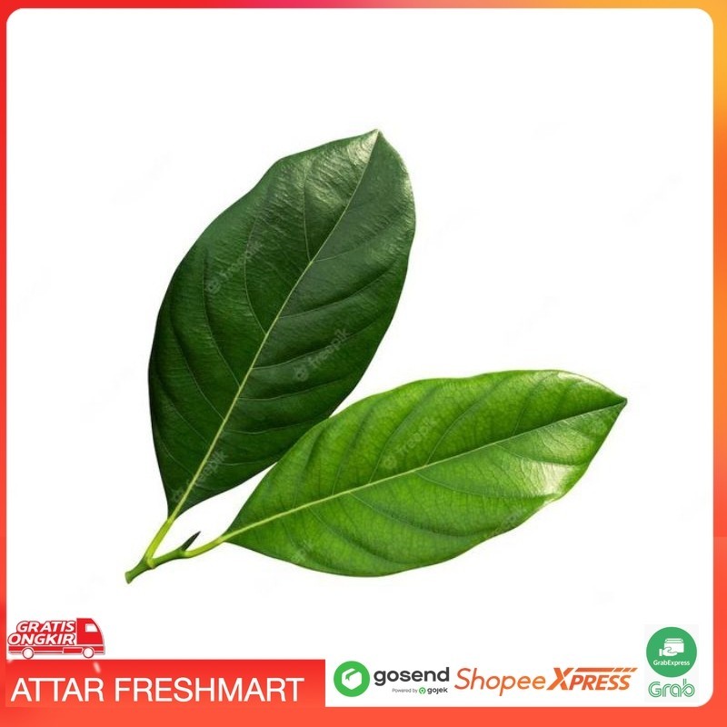

Daun Salam Per Pack