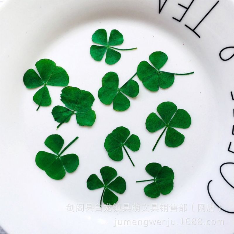 

10Pcs Dried Leaf Clover UV Resin Decor Nail Art Epoxy Mold DIY Filling Jewelry