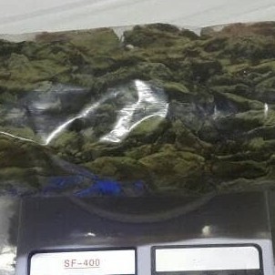 

Daun Kersen/ceri/talok/obat herbal Kering 500 gr kemasan plastik