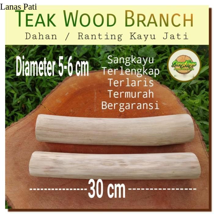 

Dahan ranting kayu jati 5-6-30 cm teak wood branch macrame wood log - AMPLAS HALUS - AMPLAS HALUS XD6