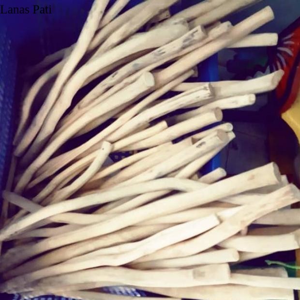 

Termurah Kayu Ranting Jati Taekwood Macrame 50cm Ready - 50cm XD6