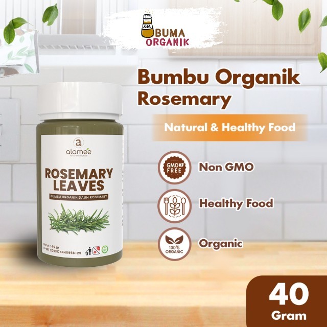 

ALAMEE Daun Rosemary Kering Dried Leaves Garnish Murni Asli Tanpa Campuran Bumbu Dapur BUMA