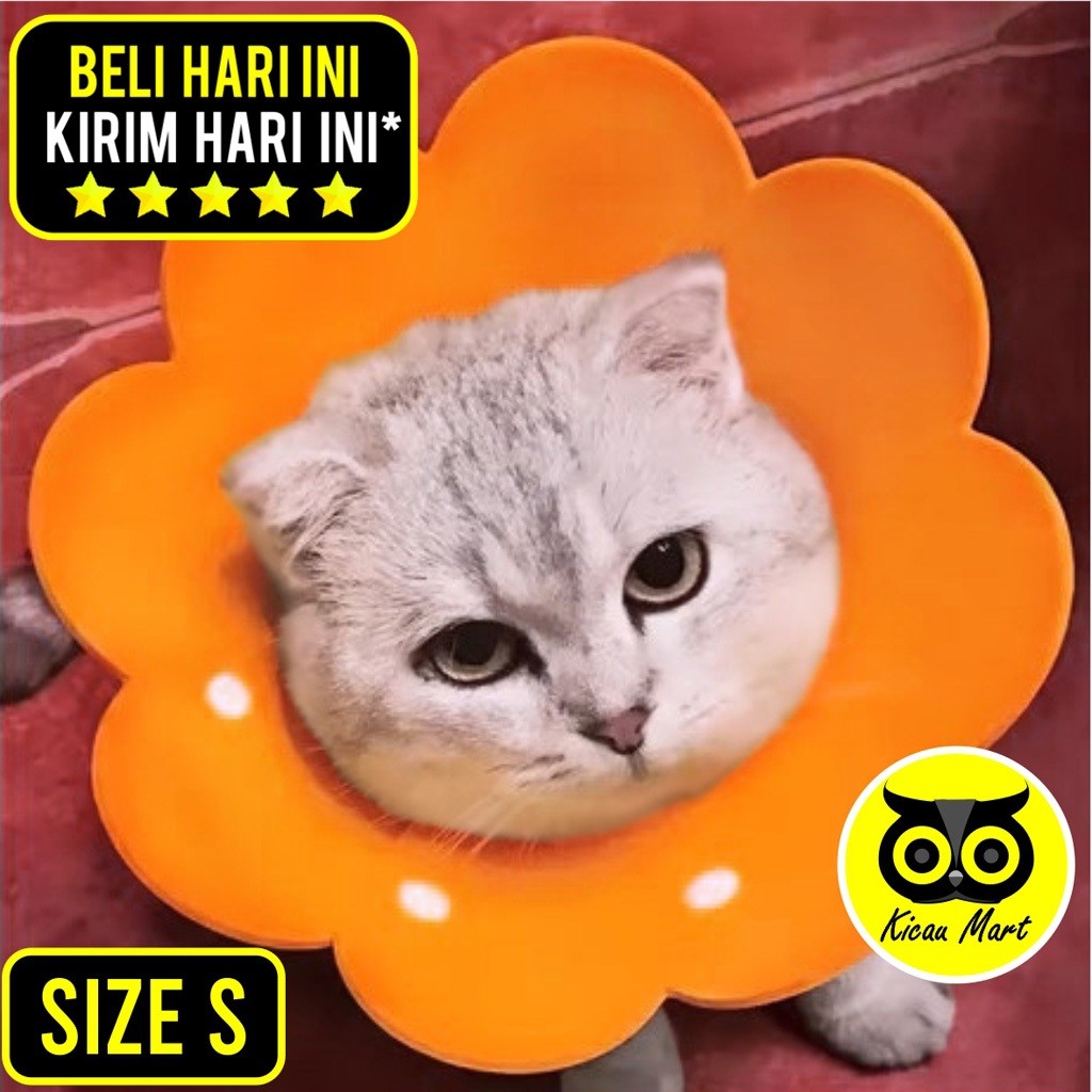 KICAU MART Collar Busa Kucing 4mm Size S Small Pelindung Leher Kucing Anjing Cat Kitten Adult Anabul