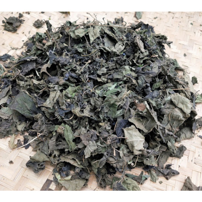 

Daun lantanan Kering / Daun Tembelekan Kering