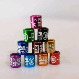 ring burung sogon pleci finch blacktroat konin emje laser gt