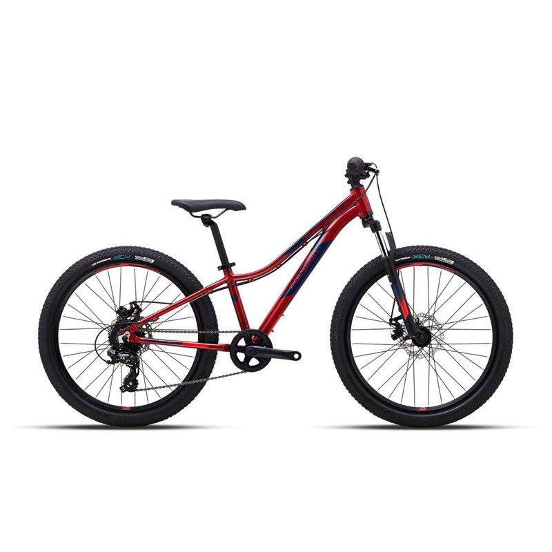 Sepeda Gunung MTB Polygon 24 inch Relic