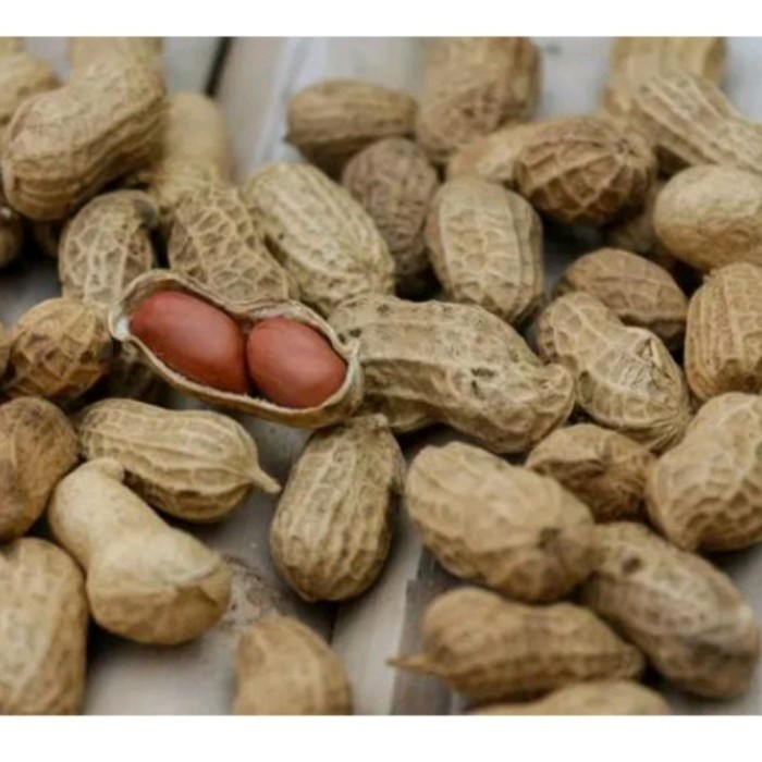 

kacang kulit sangrai 250 gr premium