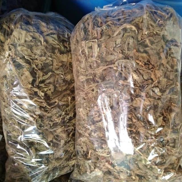 

Daun dewa kering 100gr / 250gr