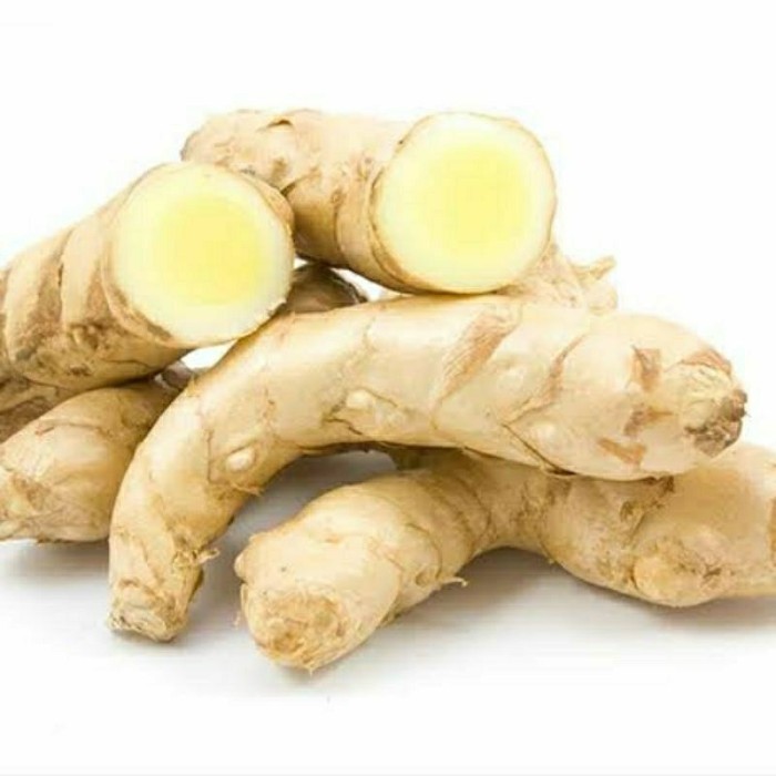 

Terlaris Temu mangga /temuputih /temu poh /kunyitputih TEMURAH 100gr/