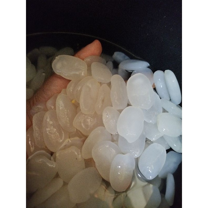 

BIG PROMO Kolang Kaling segar 500gr