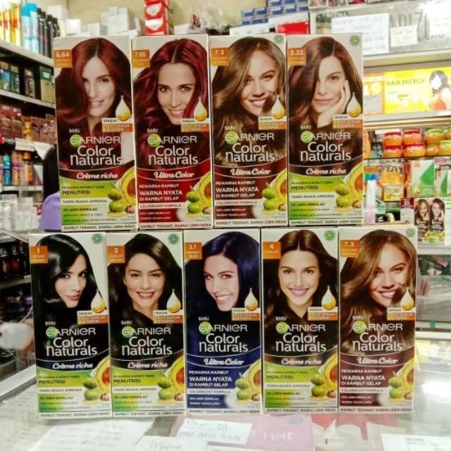 GARNIER CAT RAMBUT BOX | Pewarna Rambut Ori