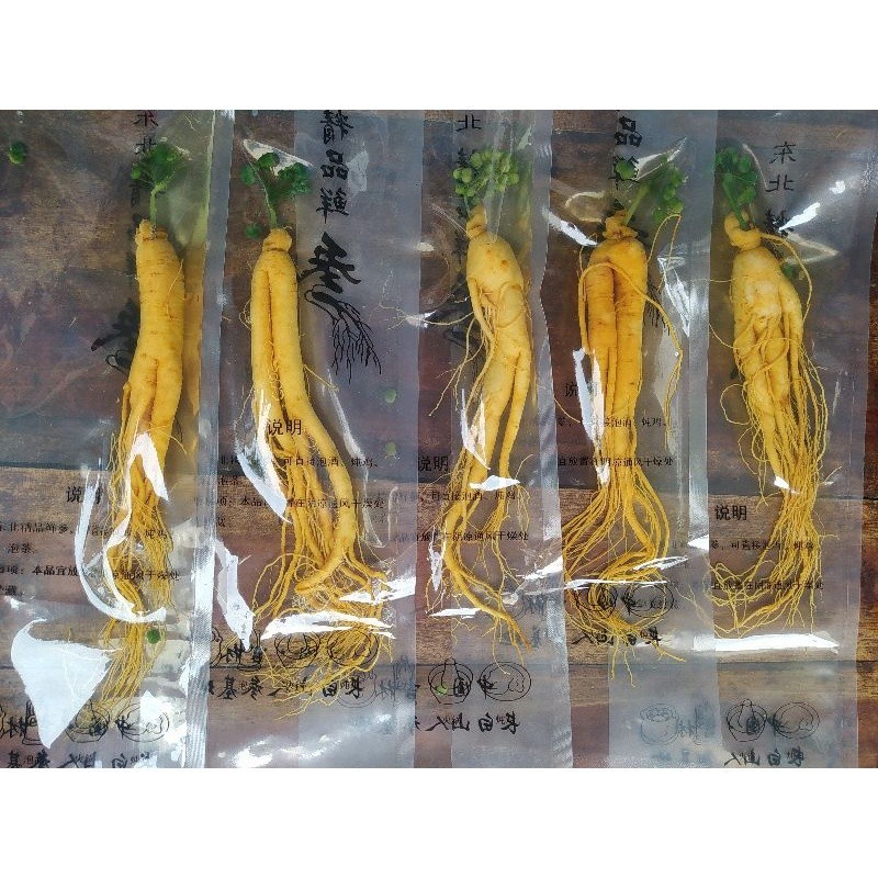 

Akar Ginseng Paket Hemat Isi 5 Berat 100 Gram
