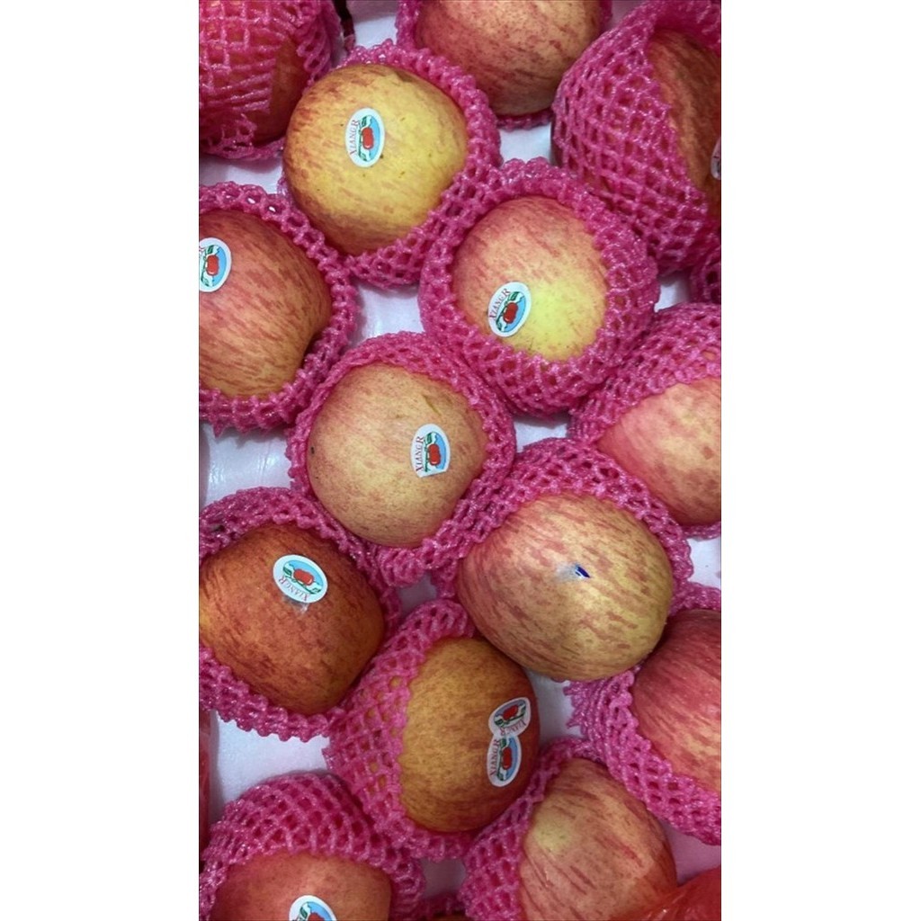 

APEL FUJI SIZE 100 (KG)