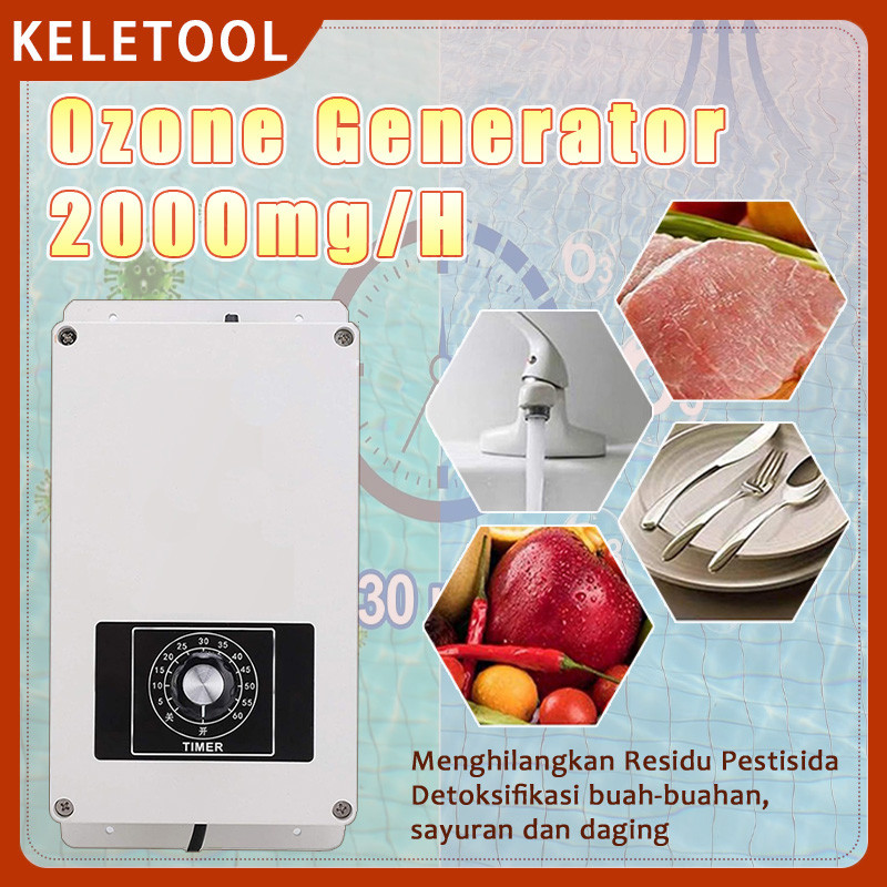 Ionizer 2000mg Ozonizer Pembersih Air Pembersih Udara Generator Ozon Plunge Dingin Pemandian Es Bak 