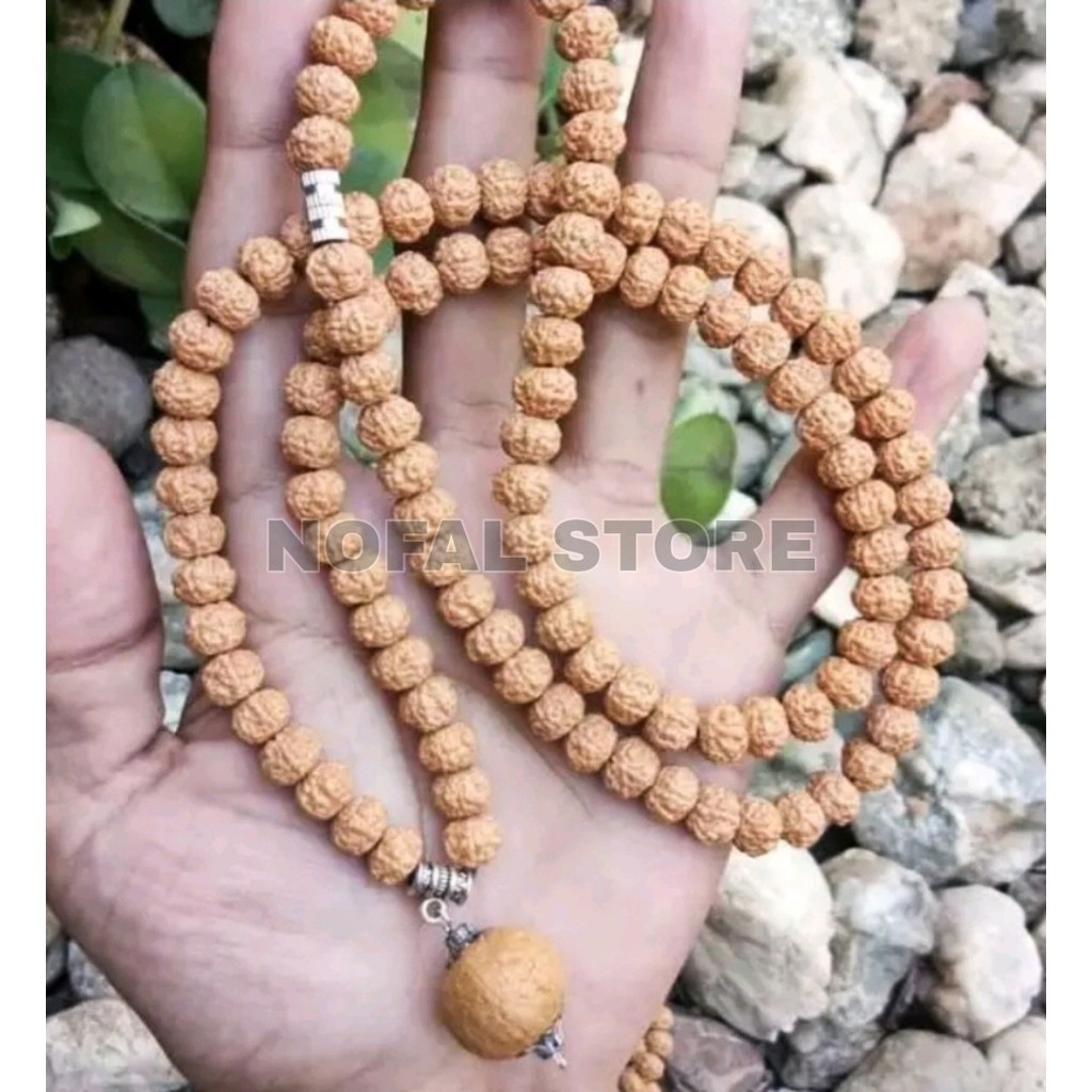 KALUNG  RUDRAKSHA JENITRI GENITRI