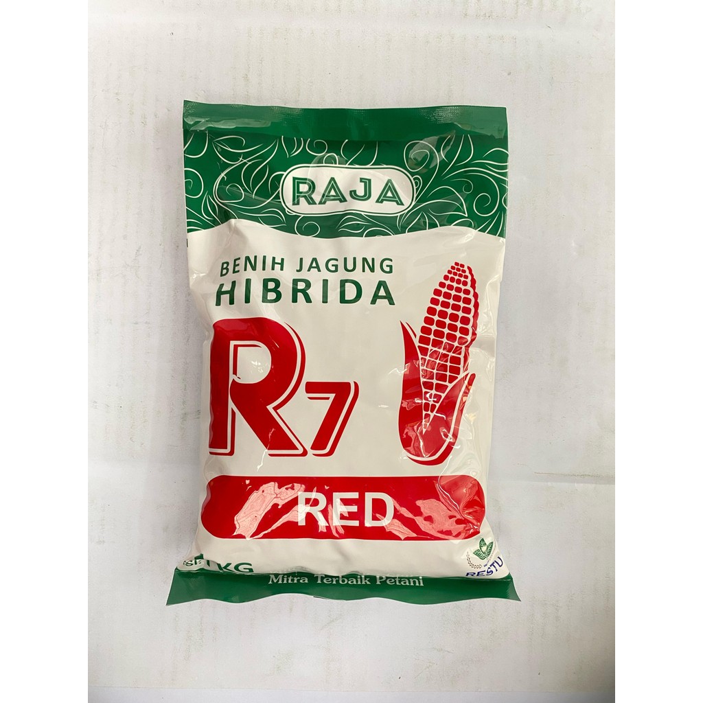 Benih jagung hibrida tahan bulai R7 RED ULTIMATE GOLD UNION isi 1kg dari RAJA
