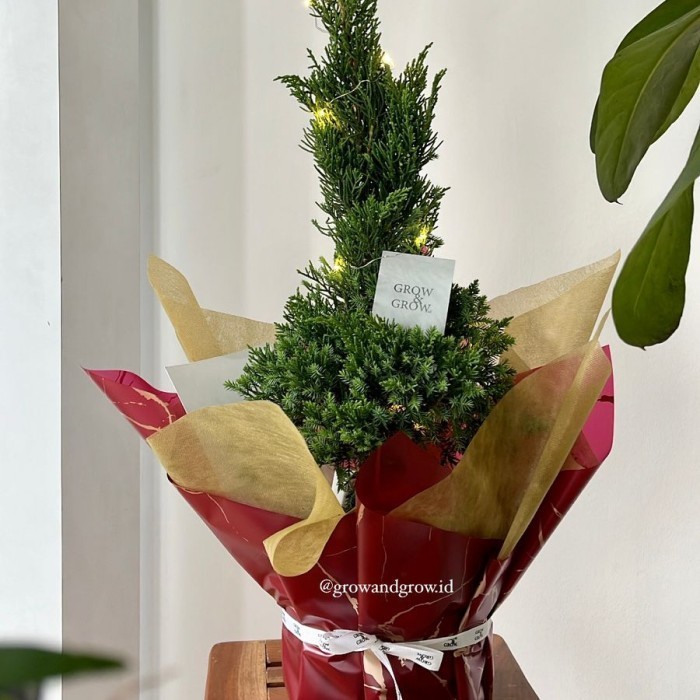 

(NEW) -Hampers Natal, hampers cemara cantik untuk gift
