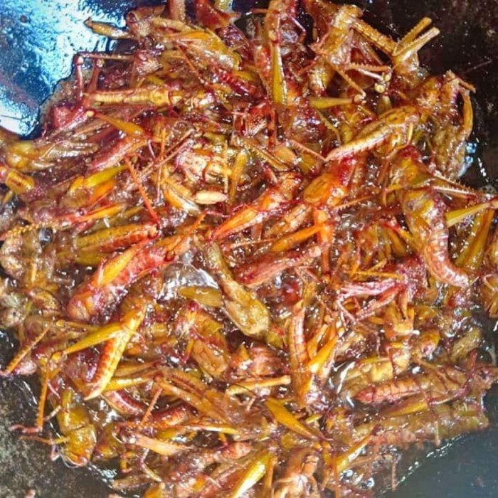 

walang / belalang goreng - Asin