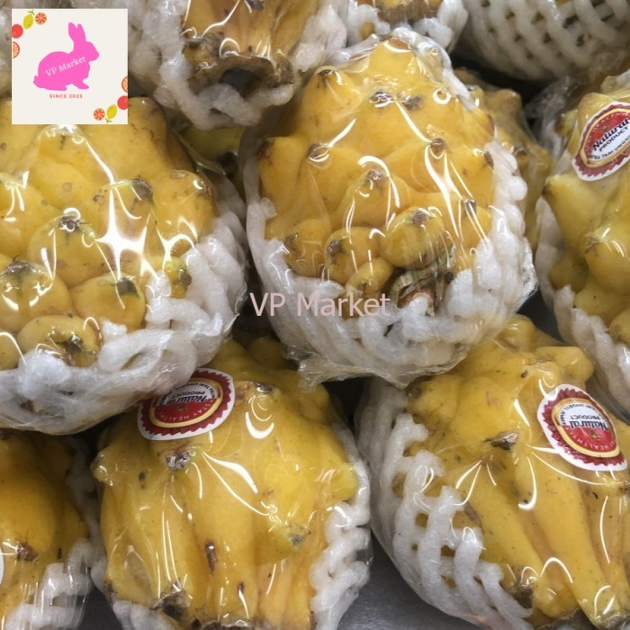 

Buah Naga Kuning Nusantara Manis Kulit Tipis 1 Kg