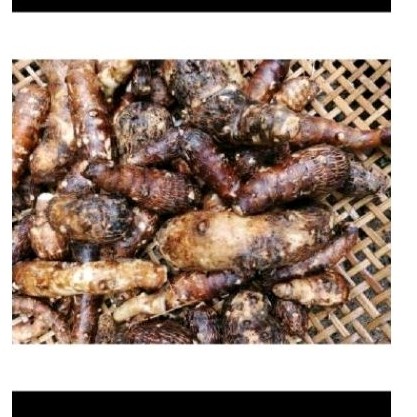 

#Umbi talas puln 1 kg'' talas bahan kripik