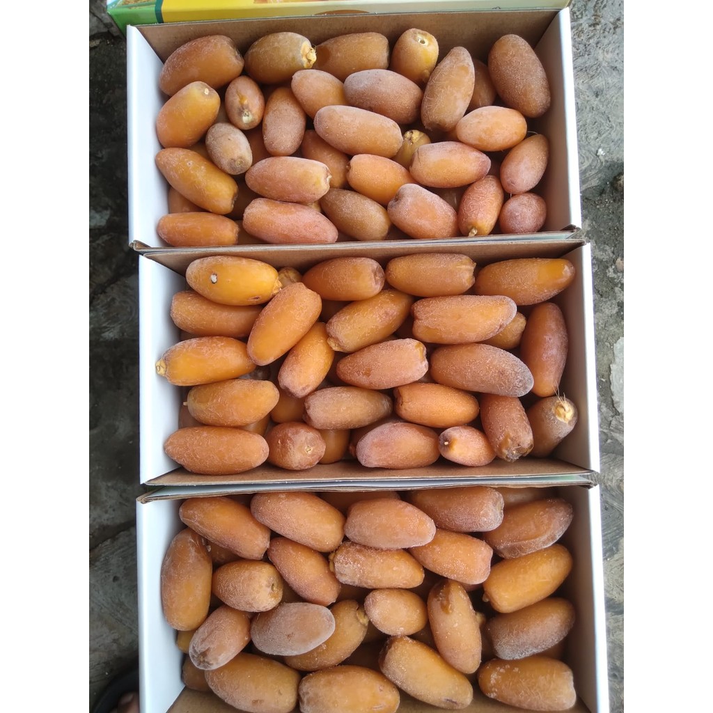 

KURMA RUTHOB AMIRA 500GR/CRT ISI 15