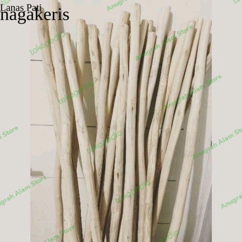 

RANTING KAYU JATI~BAHAN KERAJINAN~RANTING JATI MACRAME~70CM FXN8 XD9