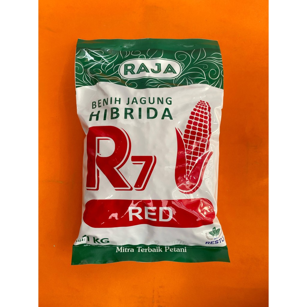 Benih jagung hibrida tahan bulai R7 RED ULTIMATE GOLD UNION berat 1kg dari RAJA