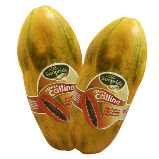 

Buah Pepaya per Butir