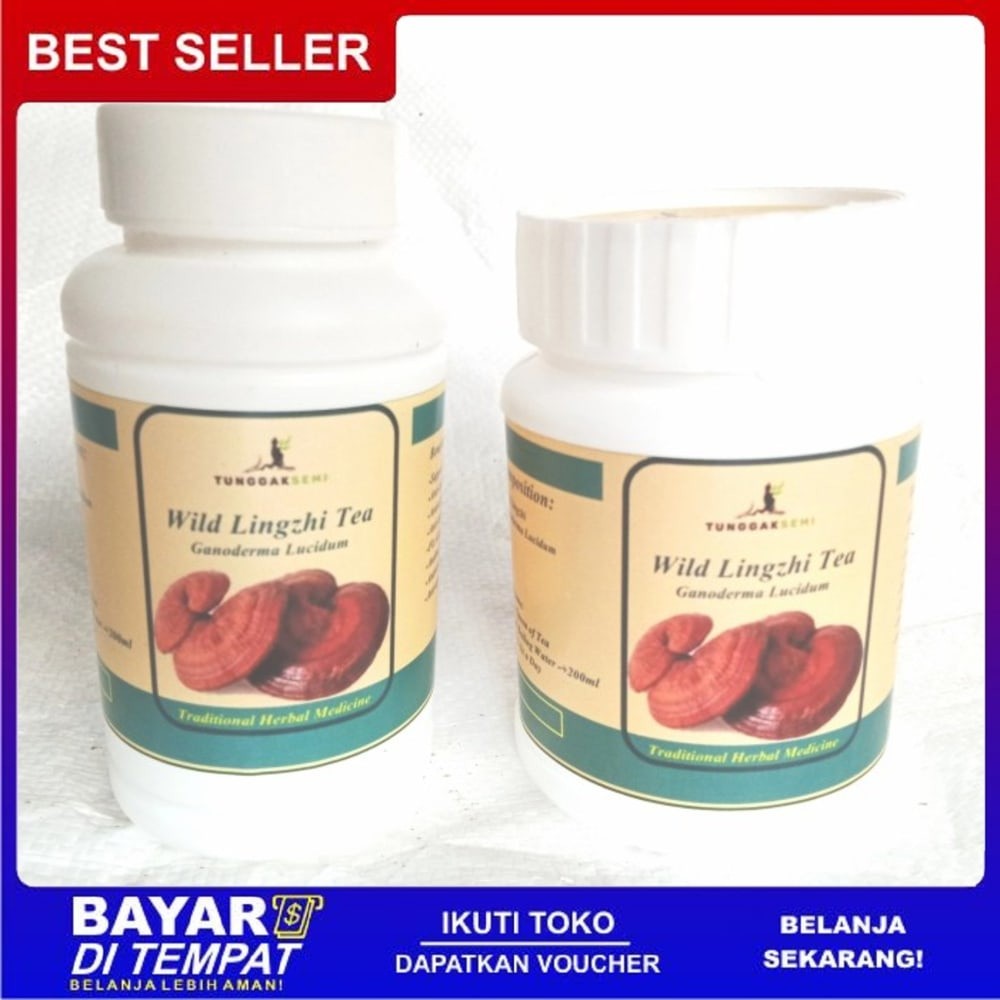 

OMH Terlaris Murah Teh Lingzhi Merah Liar Kemasan Premium [ Ganoderma lucidum ]