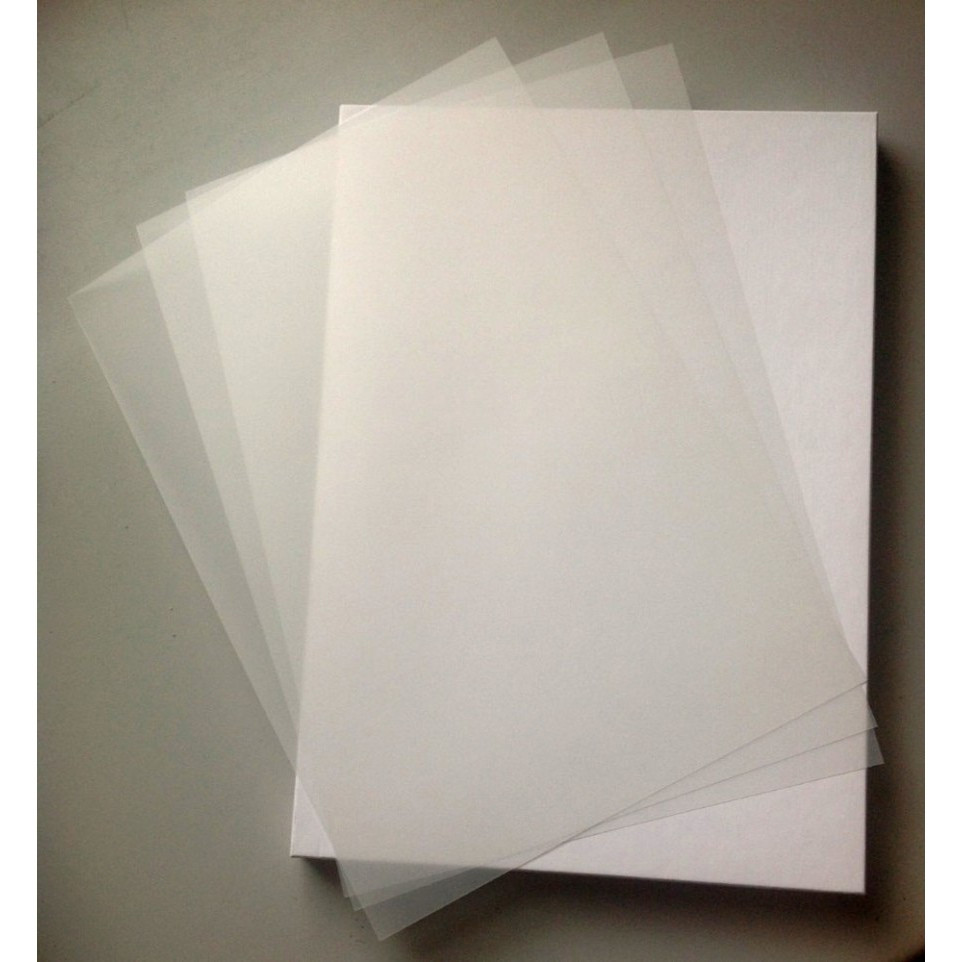

13 inch x 19 inch A3+ dtf pet film cold/hot peel DTF film sheets 100 pieces