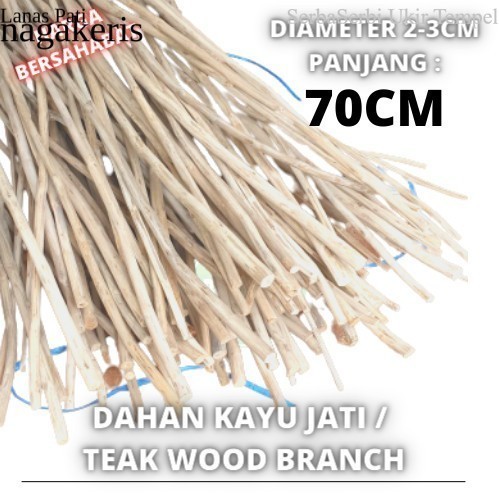 

Termurah [ Promo ] Macrame Dahan ranting kayu jati teak wood baha FXN10 XD6