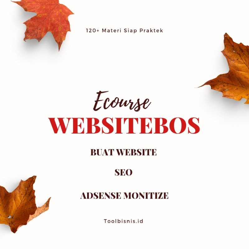 COURSE WEB DEVELOPMENT + SEO + ADSENSE WORDPRESS PLUGIN DIGITAL MARKETING ONLINE PELUANG USAHA TOOL 