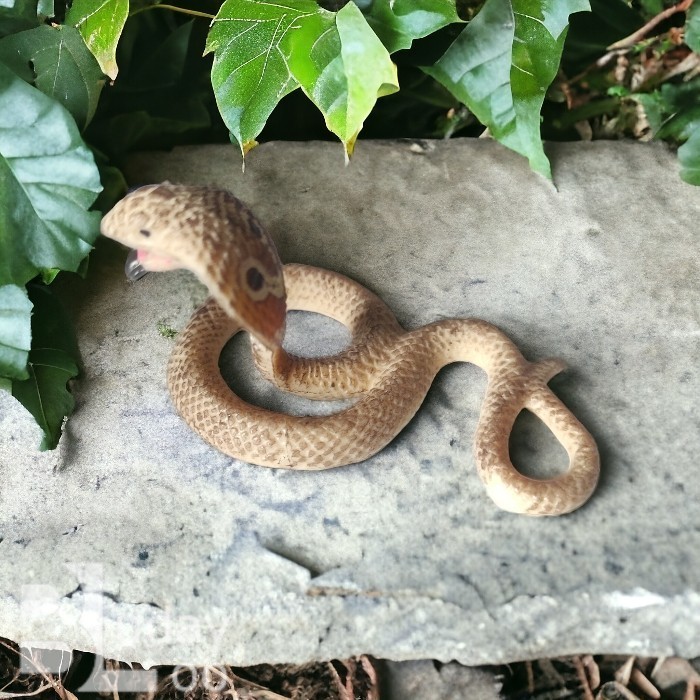 Mainan Miniatur Ular Kobra Cobra Snake 7 cm - Telur