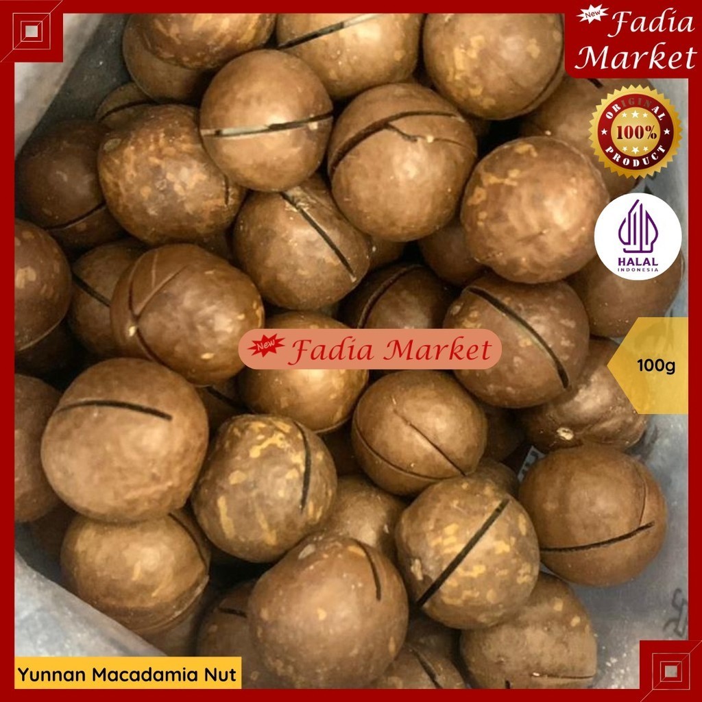 

Yunnan Macadamia Nut Kacang Makadamia Matang 100g