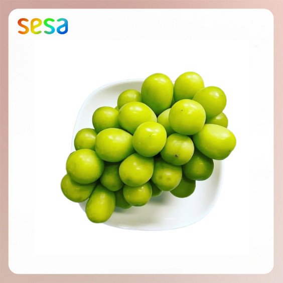 

ANGGUR Shine Muscat 500gr/Pack - Buah Fresh Sehat