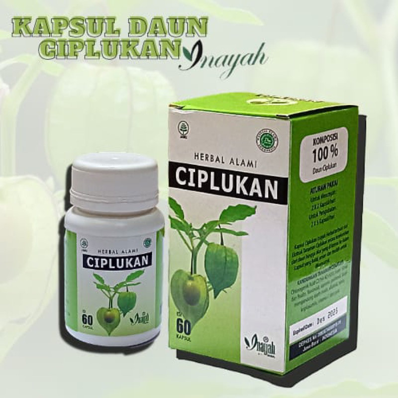 Kapsul Ciplukan