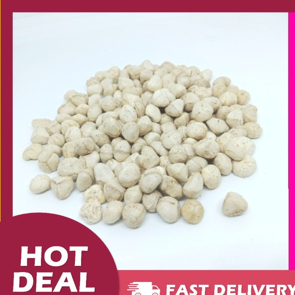 

Promo Murah OMH Terlaris [500g] Biji Kelor Kupas Atau Kernel Biji Kelor