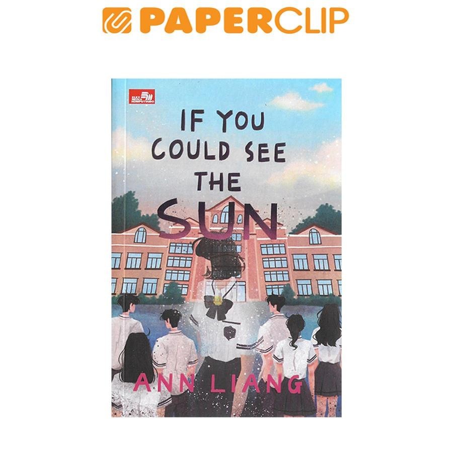 IF YOU COULD SEE THE SUN