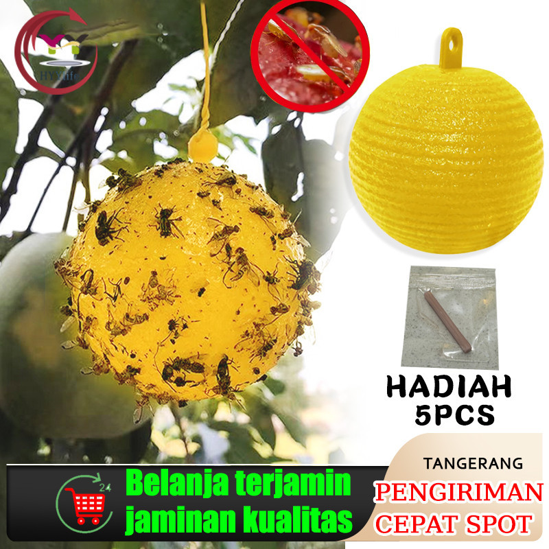 Bulat perangkap lalat buah (Yellow Trap Likat Kuning)