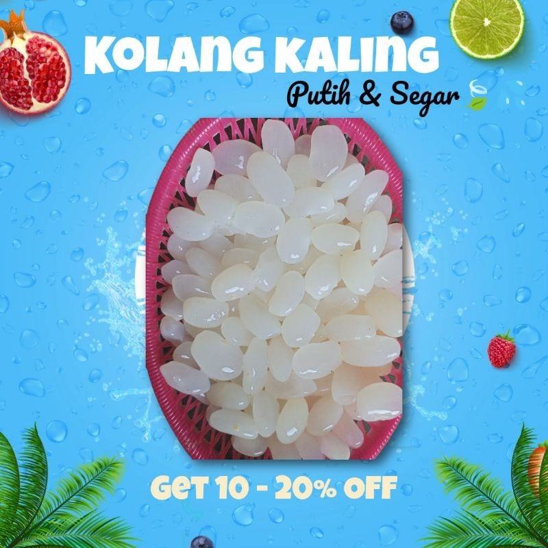 

PROMO MURAH kolang kaling 1kg segar murah meriah (kecil-sedang) ready
