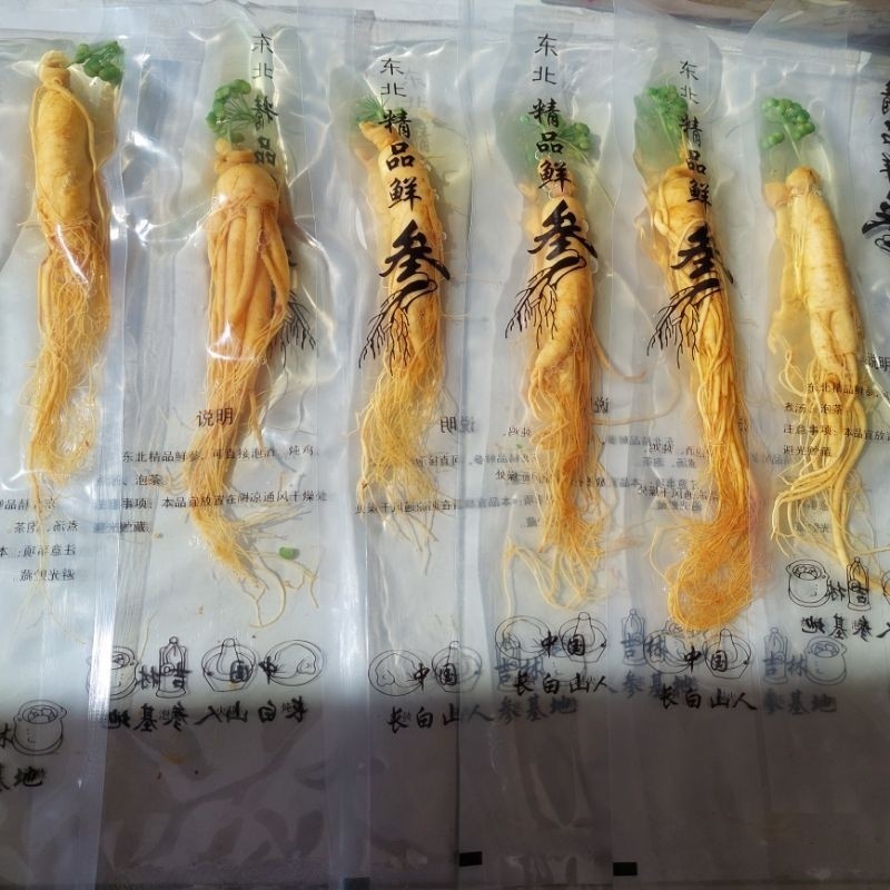 

100gr Ginseng Asli Fresh Gunung Changbai