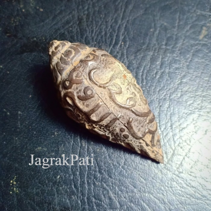 Keong Siput Kol Buntet Hitam Gelap Murah JP14522