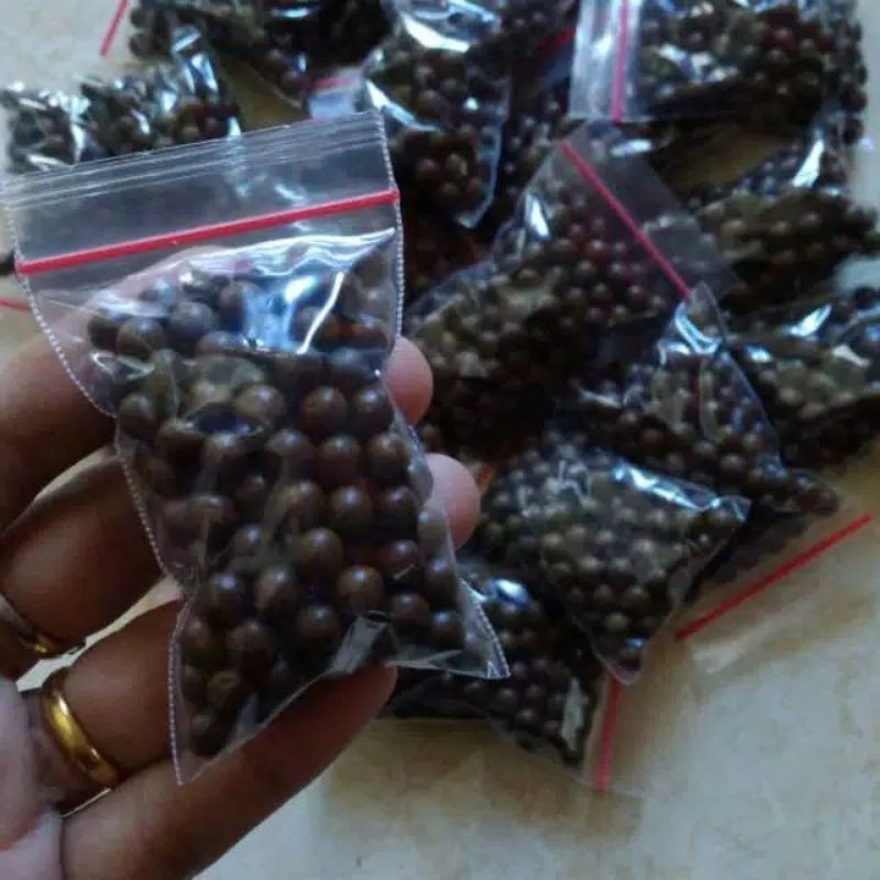 

Pil Pinang Anum/Pinang Muda dan pil majakani - AMY