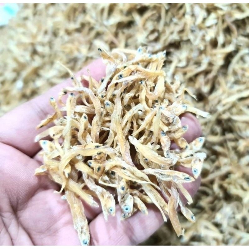 

Ikan Teri Kecil Kering Tawar 100gr - Ikan Teri Nasi Kering Tawar