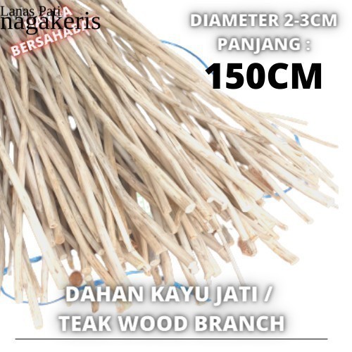 

Macrame teak wood Branch 150Cm dahan ranting kayu jati halus murah FXN6 XD9