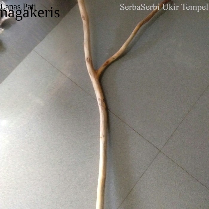 

Termurah ranting kayu jati cabang 50 cm - ranting kayu macrame FXN9 XD10