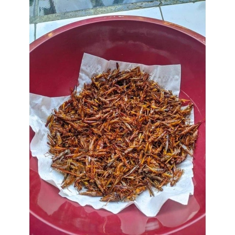 

Blalang goreng 200 gr blalang padi
